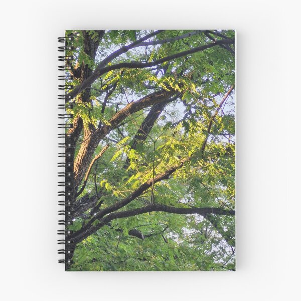 Item preview, sunlit branches designed and sold by Lunar-Dragon.