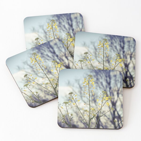 Item preview, Early Blooming Rapeseed Flower designed and sold by pigeonlovrs.