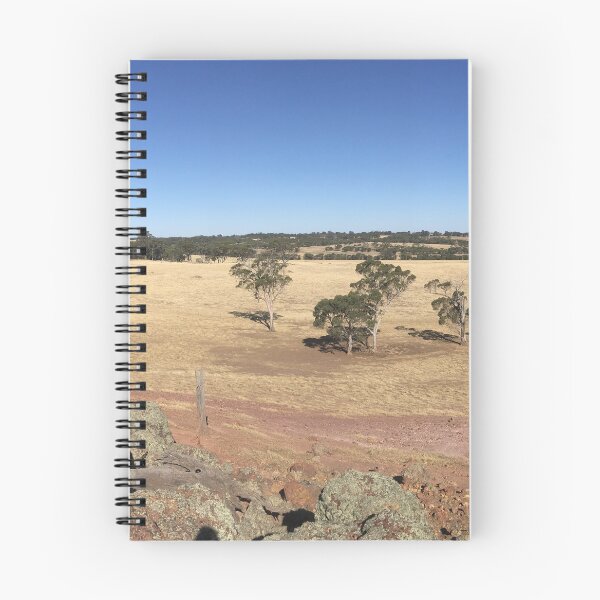 Item preview, Dry Paddock Gum Grove | Australian Outback Rural Photo designed and sold by SouthernXStudio.