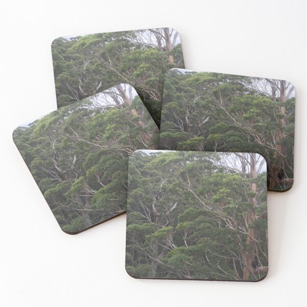 Item preview, Karri Forest Canopy | WA Southern Forest Australian Photo designed and sold by SouthernXStudio.