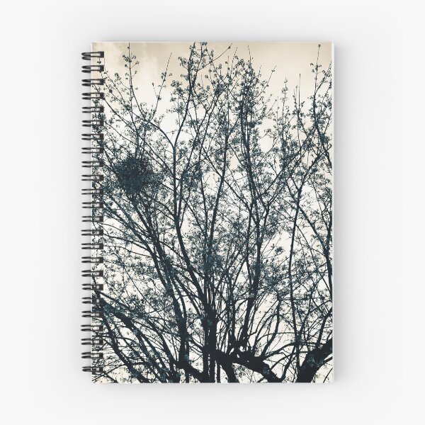 Item preview, Sparse Spring Tree with Magpie Nest designed and sold by pigeonlovrs.