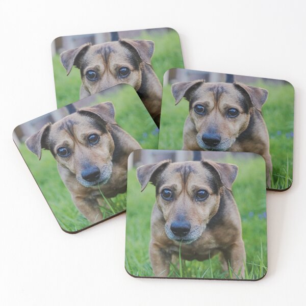 Item preview, Curious Small Mixed Breed Dog Standing in Tall Grass designed and sold by pigeonlovrs.