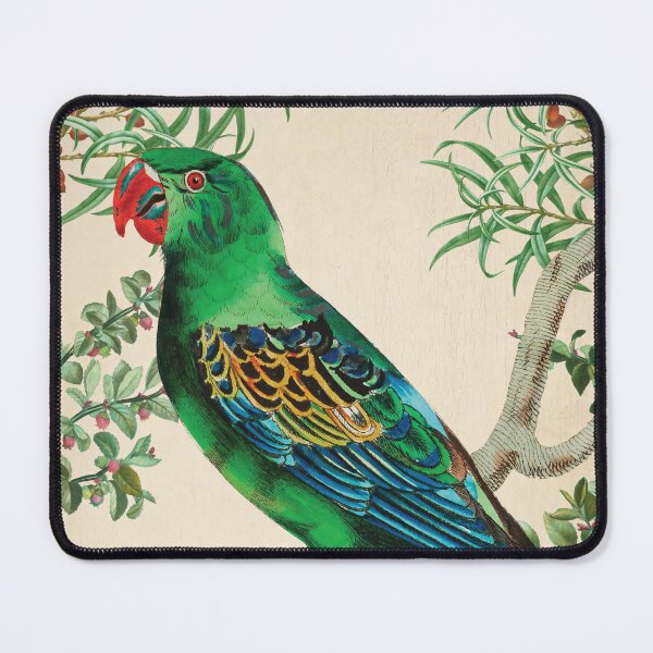Item preview, Vintage Tropical Bird with Lush Foliage Botanical Illustration designed and sold by RGB-crayon.