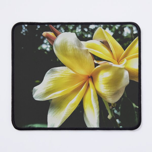 Item preview, Delicate Holds True designed and sold by kinkatstyle.