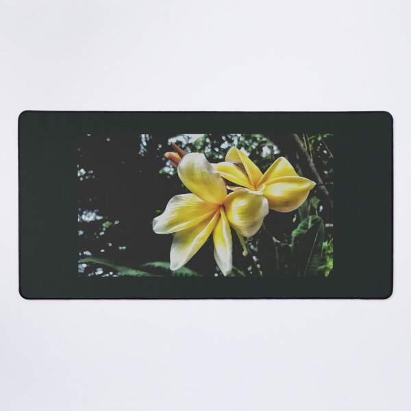 Item preview, Delicate Holds True designed and sold by kinkatstyle.