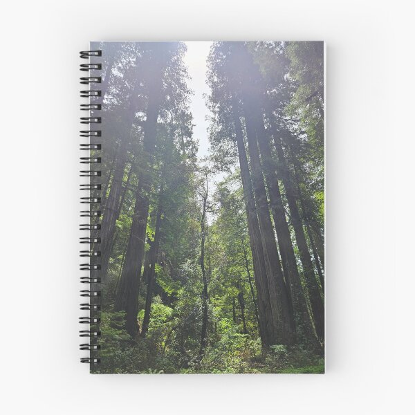 Item preview, Redwoods designed and sold by nkowen18.