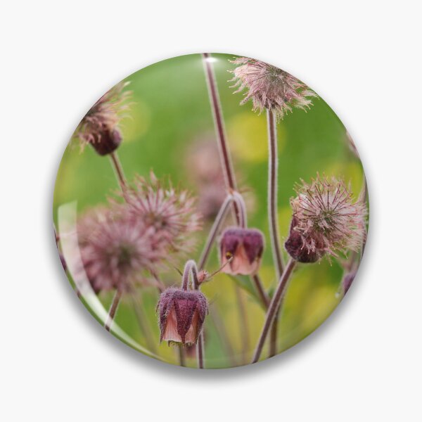 Item preview, Phases. Water Avens designed and sold by Jouko Lehto Photography.