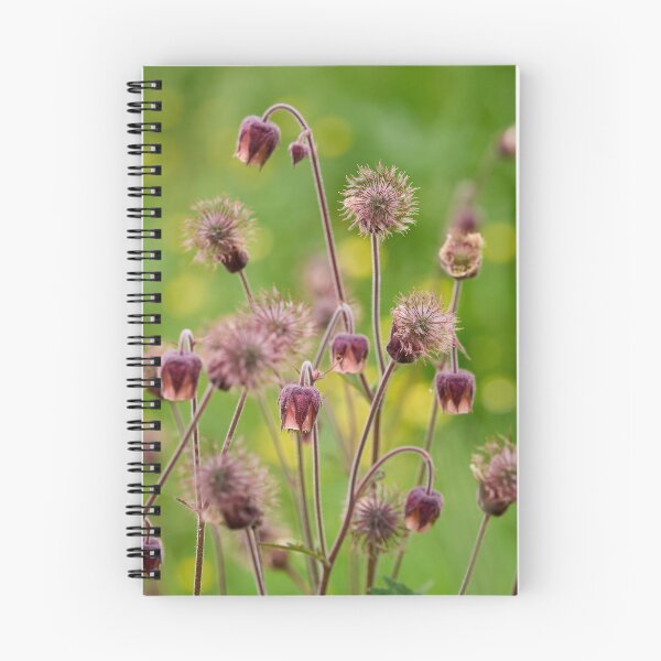 Item preview, Phases. Water Avens designed and sold by Jouko Lehto Photography.