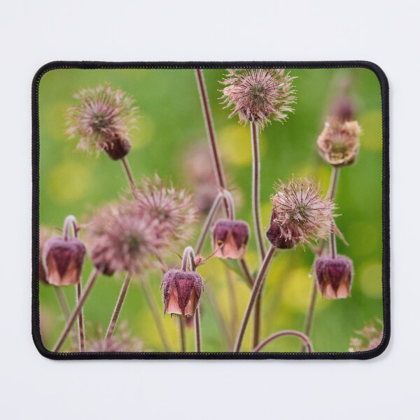 Item preview, Phases. Water Avens designed and sold by Jouko Lehto Photography.