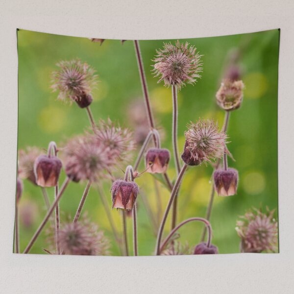 Item preview, Phases. Water Avens designed and sold by Jouko Lehto Photography.