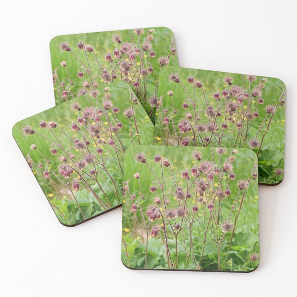 Item preview, By the field. Water Avens designed and sold by Jouko Lehto Photography.