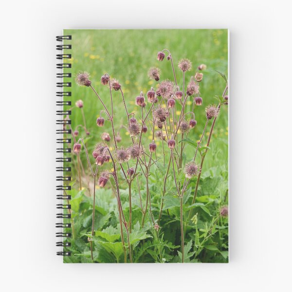 Item preview, By the field. Water Avens designed and sold by Jouko Lehto Photography.