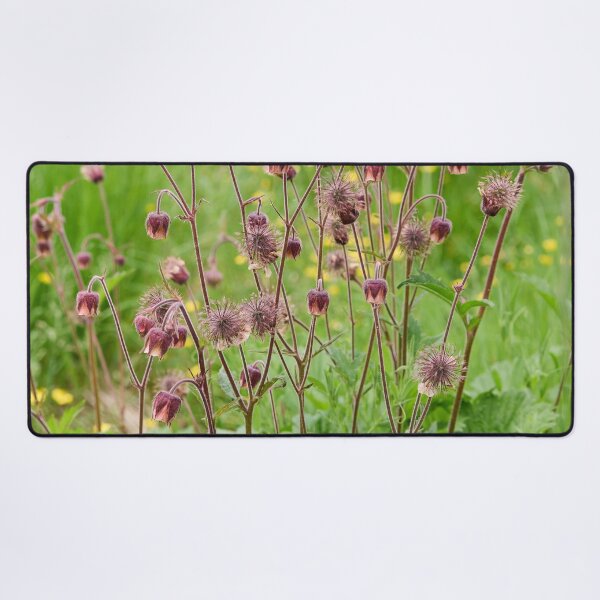 Item preview, By the field. Water Avens designed and sold by Jouko Lehto Photography.