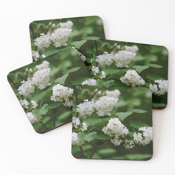 Item preview, White lilac in soft light designed and sold by Jouko Lehto Photography.