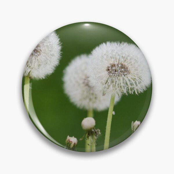 Item preview, Seeds. Dandelion designed and sold by Jouko Lehto Photography.