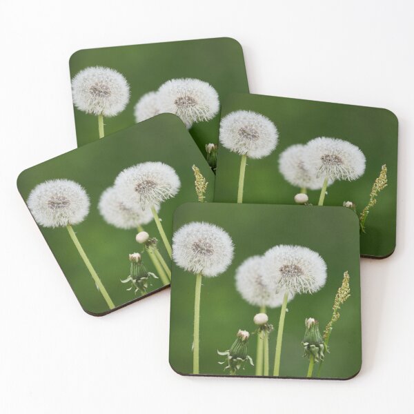 Item preview, Seeds. Dandelion designed and sold by Jouko Lehto Photography.