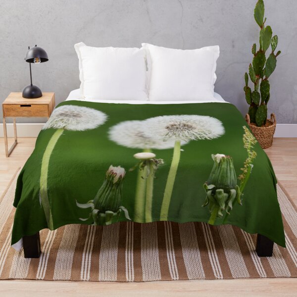 Item preview, Seeds. Dandelion designed and sold by Jouko Lehto Photography.