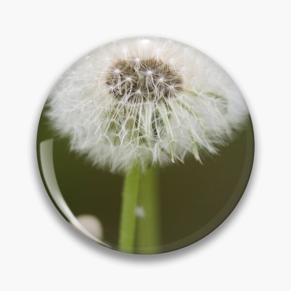 Item preview, Ready to fly. Dandelion designed and sold by Jouko Lehto Photography.