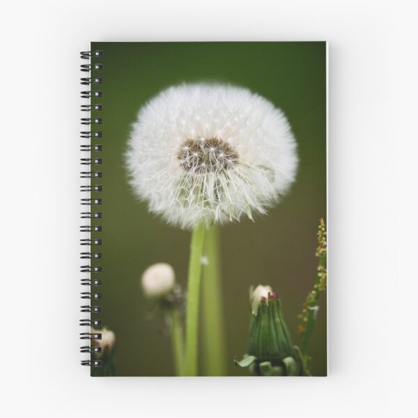 Item preview, Ready to fly. Dandelion designed and sold by Jouko Lehto Photography.
