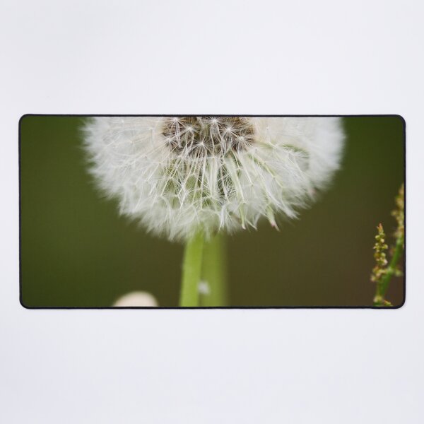 Item preview, Ready to fly. Dandelion designed and sold by Jouko Lehto Photography.