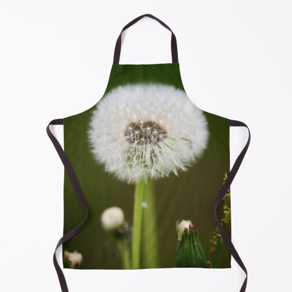 Item preview, Ready to fly. Dandelion designed and sold by Jouko Lehto Photography.