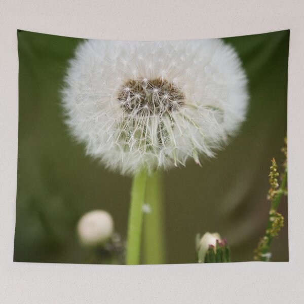Item preview, Ready to fly. Dandelion designed and sold by Jouko Lehto Photography.
