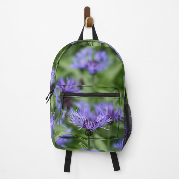 Item preview, Montane knapweed. Perennial Cornflower designed and sold by Jouko Lehto Photography.