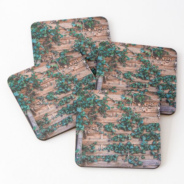 Item preview, Ivy Climbing a Wooden Fence designed and sold by pigeonlovrs.