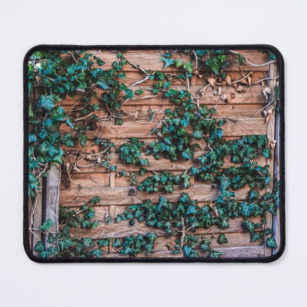Item preview, Ivy Climbing a Wooden Fence designed and sold by pigeonlovrs.