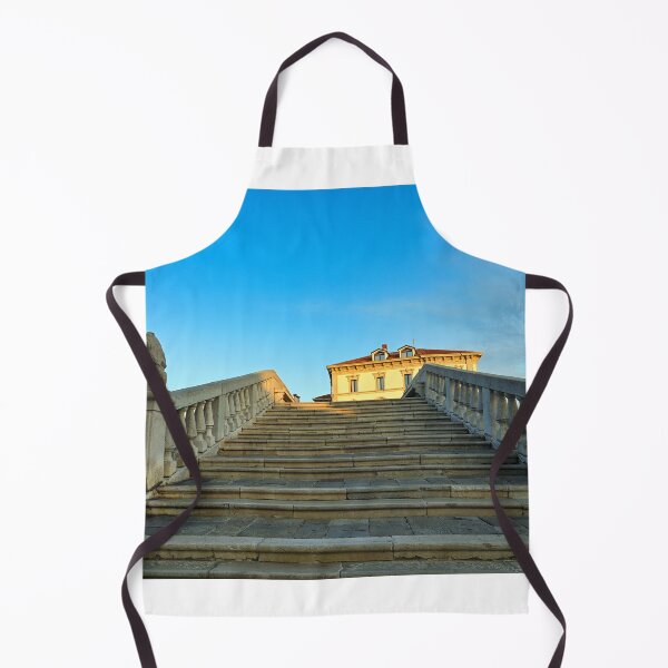 Item preview, Stone bridge Ponte di Vigo with lion statues in historical centre of Chioggia town, Veneto Region, Italy designed and sold by goceris.