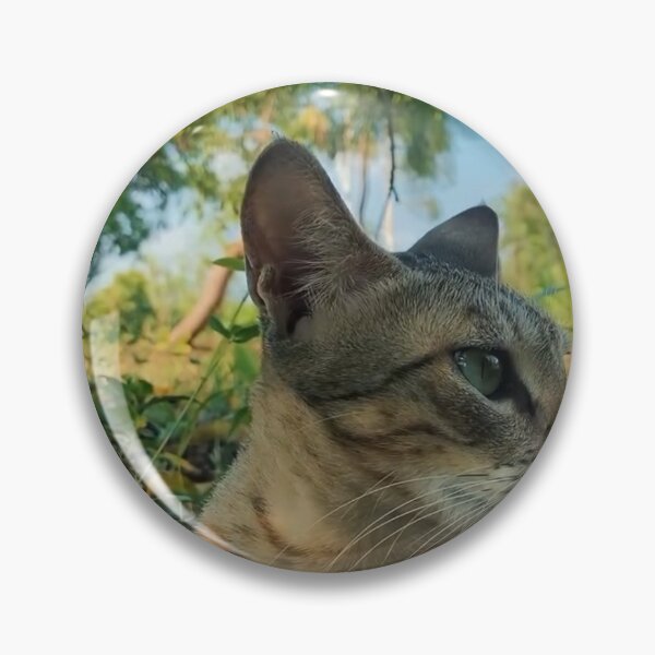 Item preview, Beautiful Green Eyed Cat In Nature - Aesthetic Pet Portrait designed and sold by Mittal-Designs.