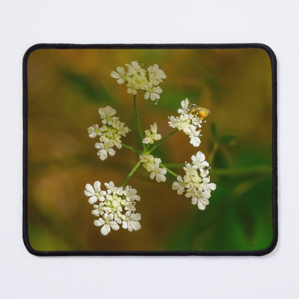 Item preview, Small Bee on Hedge Parsley  designed and sold by Ralph Goldsmith.