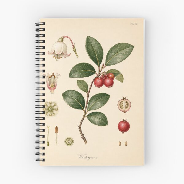 Item preview, Vintage Wintergreen Botanical Plate Print designed and sold by NuvoraNest.