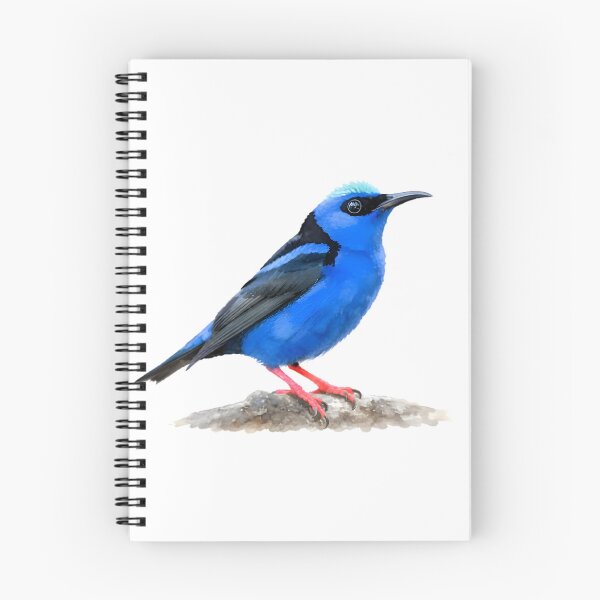 Item preview, Red-legged Honeycreeper (Cyanerpes cyaneus) designed and sold by HOMETOWN86.