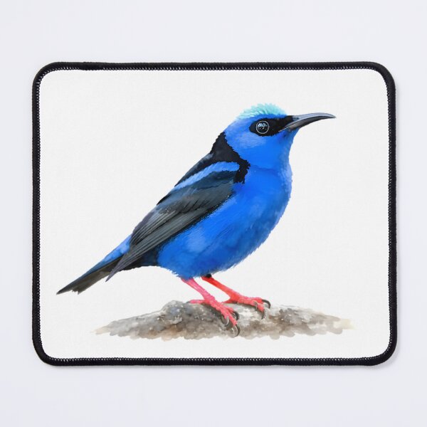 Item preview, Red-legged Honeycreeper (Cyanerpes cyaneus) designed and sold by HOMETOWN86.