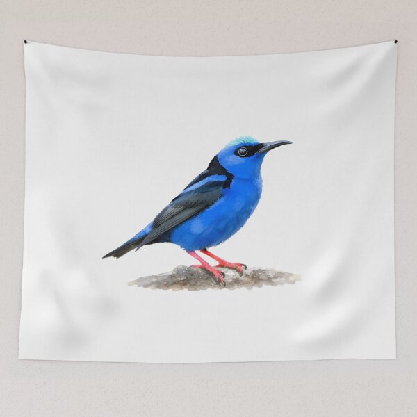 Item preview, Red-legged Honeycreeper (Cyanerpes cyaneus) designed and sold by HOMETOWN86.