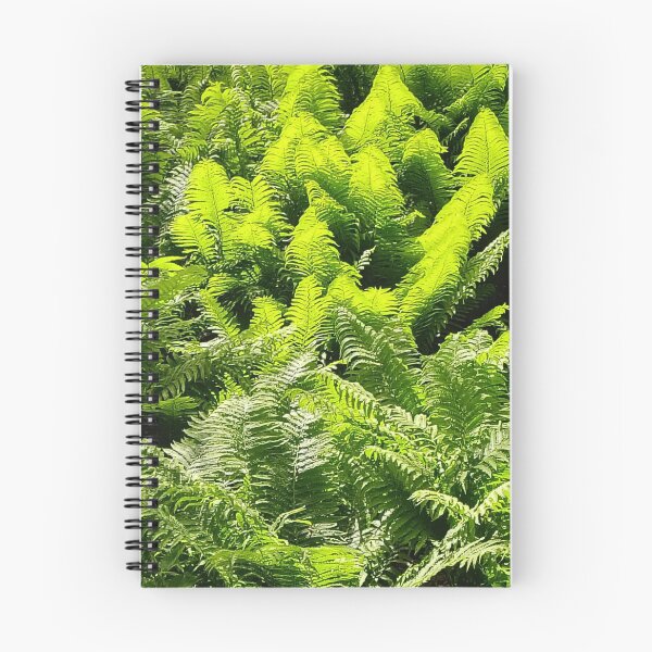 Aperçu de l'œuvre Les modèles de la nature créée et vendue par MariaMCArt.