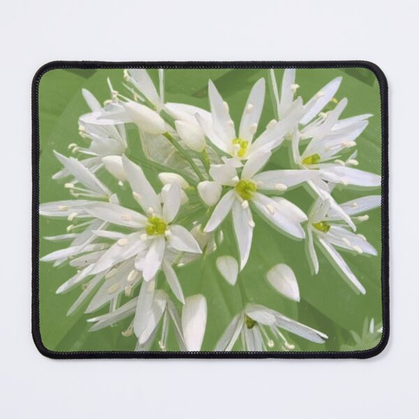 Item preview, Wild Garlic designed and sold by MariaMCArt.