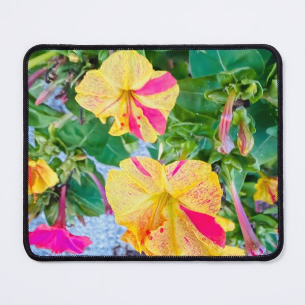 Item preview, Impressionist Four O'Clock Flower Yellow and Pink Digital Painting designed and sold by BalkanBloom.