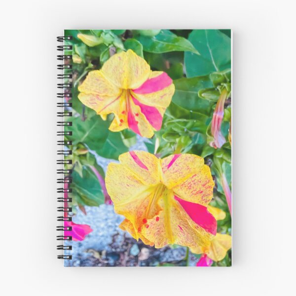 Item preview, Impressionist Four O'Clock Flower Yellow and Pink Digital Painting designed and sold by BalkanBloom.