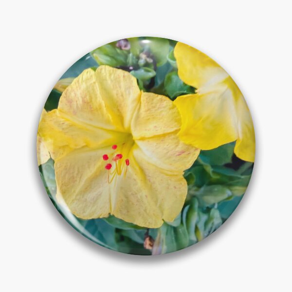 Item preview, Impressionist Four O'Clock Flower Yellow Botanical Digital Painting designed and sold by BalkanBloom.