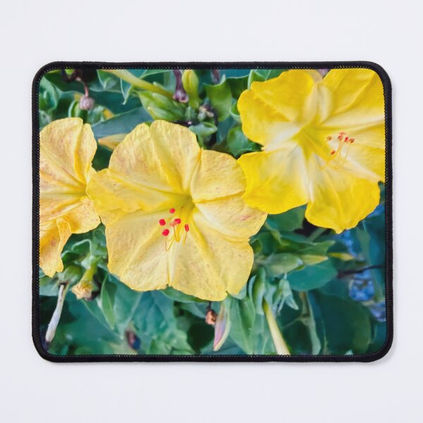 Item preview, Impressionist Four O'Clock Flower Yellow Botanical Digital Painting designed and sold by BalkanBloom.