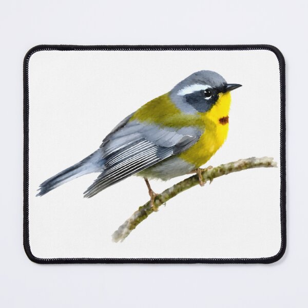 Item preview, Crescent-chested Warbler (Oreothlypis superciliosa) designed and sold by HOMETOWN86.