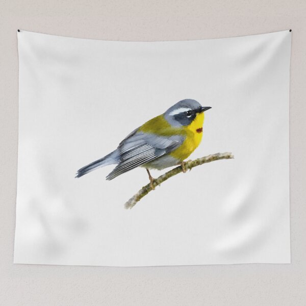 Item preview, Crescent-chested Warbler (Oreothlypis superciliosa) designed and sold by HOMETOWN86.