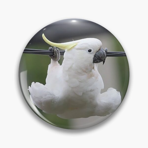 Item preview, Birds have to exercise as well as humans designed and sold by Inspired Arts.