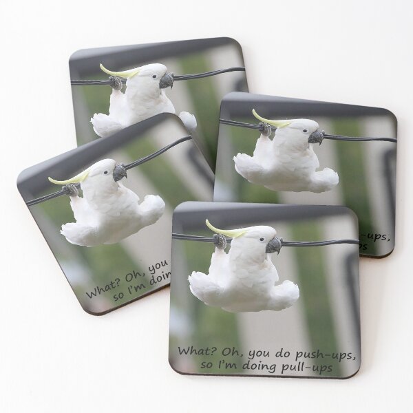 Item preview, Birds have to exercise as well as humans designed and sold by Inspired Arts.