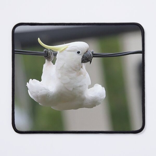 Item preview, Birds have to exercise as well as humans designed and sold by Inspired Arts.