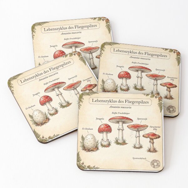 Item preview, Fly Agaric Amanita Muscaria Life Cycle Illustration designed and sold by IdeaSmith.