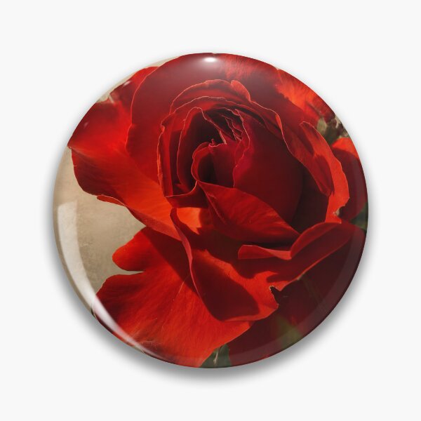 Item preview, Crimson Rose Botanical Photography | Vintage Floral Wall Art designed and sold by Violafleurviolett.