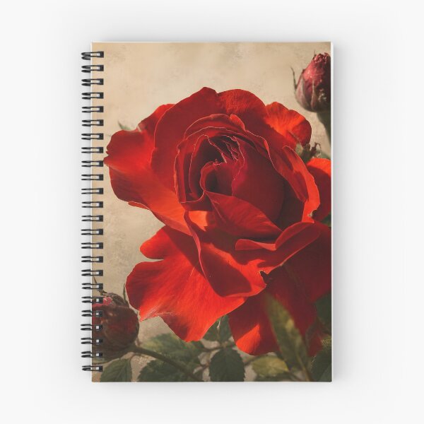 Item preview, Crimson Rose Botanical Photography | Vintage Floral Wall Art designed and sold by Violafleurviolett.